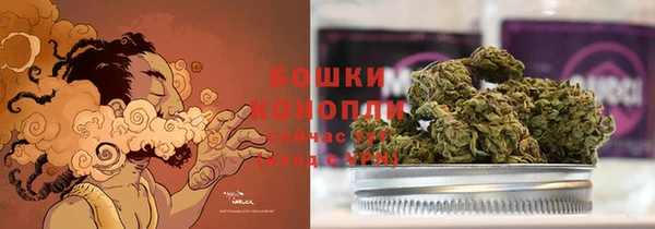 PSILOCYBIN Армянск