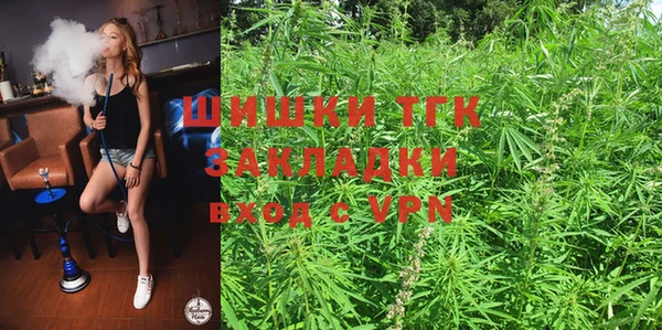 дживик Аркадак