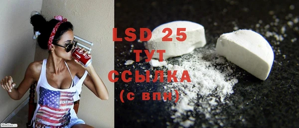 PSILOCYBIN Армянск