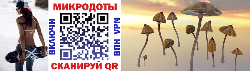 цены   shop какой сайт  Псилоцибиновые грибы мицелий  Макушино 